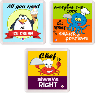 

Thoughtroad CHEF ANNOYING IC 1 Fridge Magnet Pack of 3