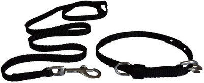 

Paw Zone Dog Collar & Leash(, Black