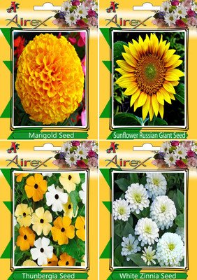 

Airex Marigold, Sunflower, Thunbergia, White Zinnia Seed(15 per packet)