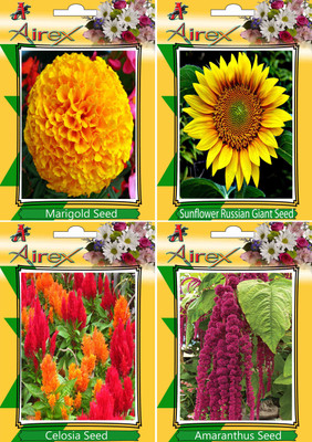 

Airex Marigold, Sunflower, Celosia, Amaranthus Seed(15 per packet)