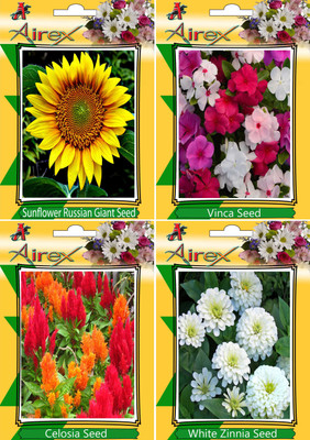 

Airex Sunflower, Vinca, Celosia, White Zinnia Seed(20 per packet)