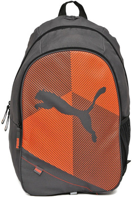 

Puma Unisex Echo Plus 27 L Backpack(Grey, Orange)