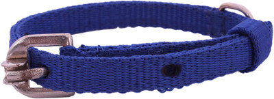 

SRI High Quality Strong Nylon Dog Collar 0.5 INCH, Dog Everyday Collar(, Blue