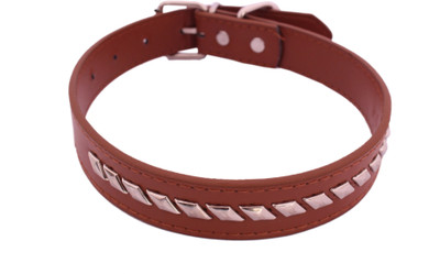 

SRI Imported High Quality Adjustable Dog Collar 0.9 Inch With Metal Studs Dog Everyday Collar(, Brown