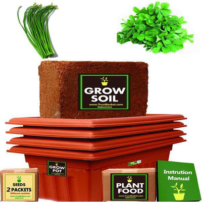 

TrustBasket TrustBasket Standard Starter Grow Kit (Garlic Chives, Methi) Plant Container Set(Plastic)