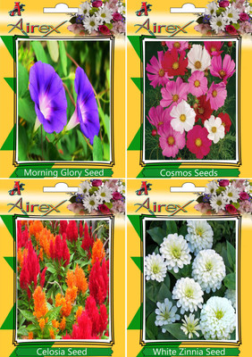 

Airex Morning Glory, Cosmos Mixed, Celosia, White Zinnia Seed(20 per packet)