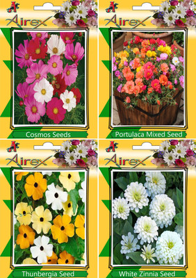 

Airex Cosmos Mixed, Portulaca Mixed, Thunbergia, White Zinnia Seed(15 per packet)