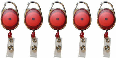 

TheFlauntStore Plastic ID Badge Holder(Pack of 5)