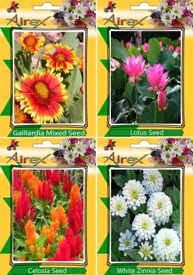 Airex Gaillardia Mixed, Lotus, Celosia, White Zinnia Seed(25 per packet)