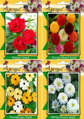 

Airex Balsam, Zinnia Mixed, Thunbergia, White Zinnia Seed(20 per packet)