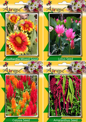 

Airex Gaillardia Mixed, Lotus, Celosia, Amaranthus Seed(20 per packet)
