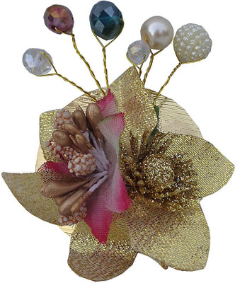 

Trendeela.com Feriha Stylish Party Bun Clip(Multicolor)