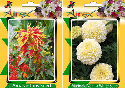 

Airex Amaranthus, White Marigold Seed(20 per packet)