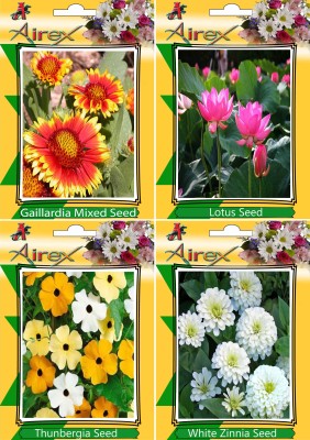 Airex Gaillardia Mixed, Lotus, Thunbergia, White Zinnia Seed(25 per packet)