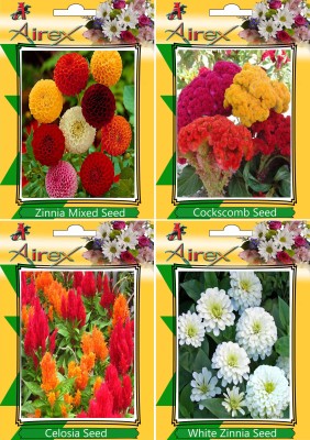 Airex Zinnia Mixed, Cockscomb, Celosia, White Zinnia Seed(20 per packet)