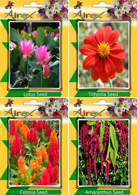 Airex Lotus, Tithonia, Celosia, Amaranthus Seed(15 per packet)