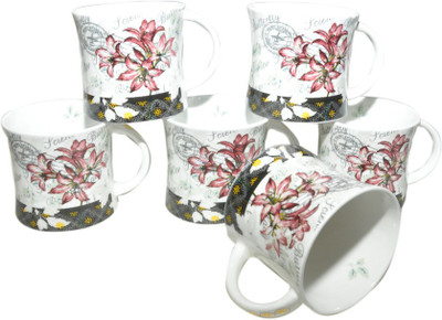 

Amazecart Bone China Tea & Coffee Cups Set of 6 Pieces (150 ml) Bone China(Multicolor, Pack of 6)
