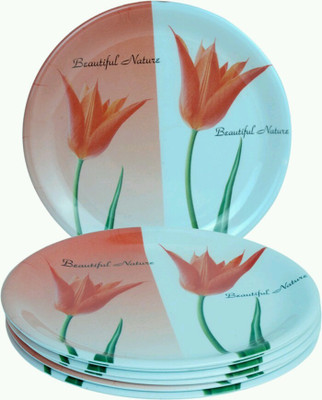 JMD owfloral Small Plates(Pack of 6)
