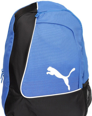 

Puma EvoPower 25 L Laptop Backpack(Black, Blue)