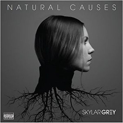 

Natural Causes [Explicit Content] Audio CD Standard Edition(English - Skylar Grey)