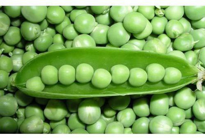 NATURAL LIVE Peas Seed(50 per packet)