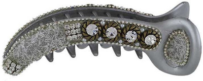 

Anuradha Art Jewellery BN-419 Banana Clip(Silver)