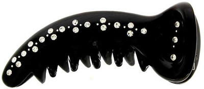 

Anuradha Art Jewellery BN-449 Banana Clip(Black)