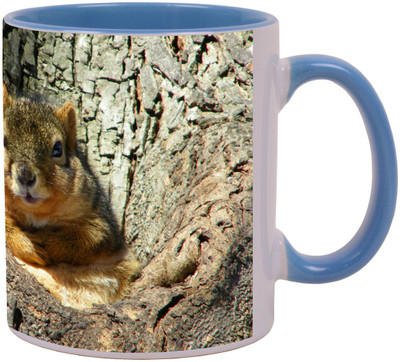 

Arkist cute fat squirrel Ceramic Mug(340 ml), Multicolor