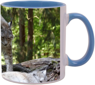 

Arkist eurasian lynx eurasischer luchs x1 Ceramic Mug(340 ml), Multicolor