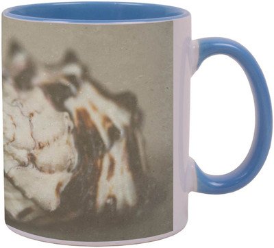 

Arkist shell 5 Ceramic Mug(340 ml), Multicolor