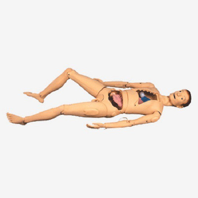 

mLabs GD/H10S Anatomical Body Model(Basic Nursing Manikin PVC Model)