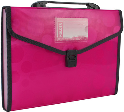 

TRANBO Polypropylene Polka Dots File Folder with 13 Pockets, Handle, Index Tab, A4 Size, Pink(Set Of 1, Pink)