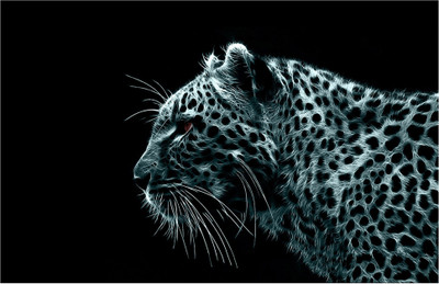 

Tiger in Monochrome Poster (18 inch x 12 inch) Paper Print(18 inch X 12 inch, Rolled)
