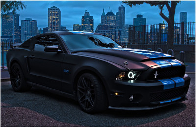

Ford Mustang Shelby gt500 Poster (18 inch x 12 inch) Paper Print(18 inch X 12 inch, Rolled)