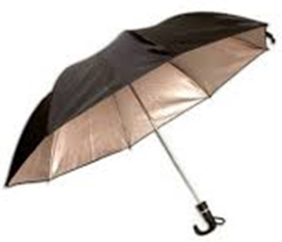 Palakz 2 Fold Men's Umbrella(Black)