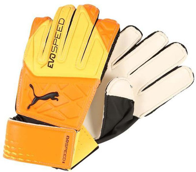 

Puma EVOSPEED 5.5 Goalkeeping Gloves (, Multicolor