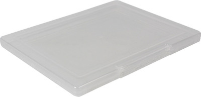 

PINZO 1 Compartments Plastic Transparent & Slim Paper Document Storage Box with Built-in Clip Lock(Transparent)