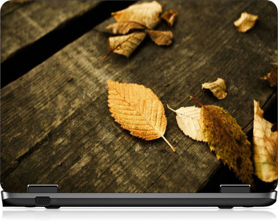 

Box 18 LP2655 Vinyl Laptop Decal 15.6