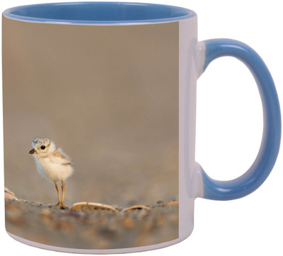 

Arkist cute baby gull Ceramic Mug(340 ml), Multicolor