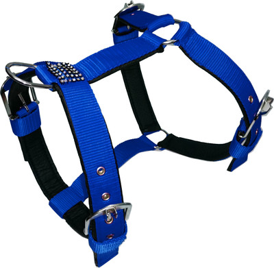 

Petshop7 Blue 1 Inch Export Quality Nylon  Dog Standard Harness(, Blue