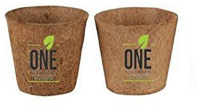 

One Feet Farm Coir Pot 8 inch dia Plant Container Set(Wood)