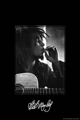 

Akhuratha Designs Wall Poster Bob Marley Smoking Paper Print(12 inch X 18 inch, Rolled)