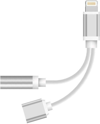 

ReTrack 2 in 1 Lightning Charger and 3.5mm Earphone Stereo Jack Cable Adapter [No Music Control] for iPhone 7/7 Plus/6s/6/5s/5 AUX Cable(Silver)