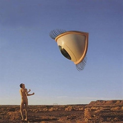 

BURY THE HATCHET (180G) Import Vinyl Standard Edition(English - CRANBERRIES)