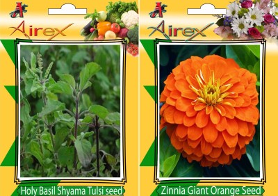 Airex Holy Basil (Shyama Tulsi), Orange Zinnia Seed(25 per packet)