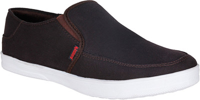 

Bachini Casuals For Men(Brown)