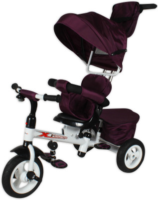 

Toyhouse Rubber Tyres Luxury Tricycle B32-3 Tricycle(Purple)