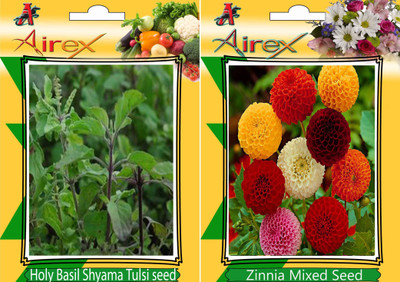 Airex Holy Basil (Shyama Tulsi), Zinnia Mixed Seed(20 per packet)