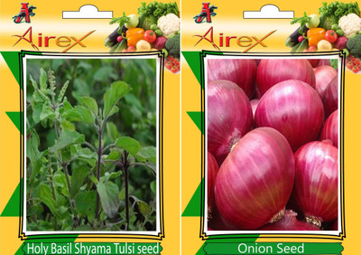 Airex Holy Basil (Shyama Tulsi), Onion Seed(15 per packet)