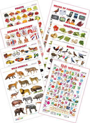 

Spectrum Kid's 1st Learning Charts [S] : Set 20 (Human Anatomy, Hindi Varnamala, Fruits, Vegetables, Wild Animals, Birds, Transport & Communications)(Multicolor)